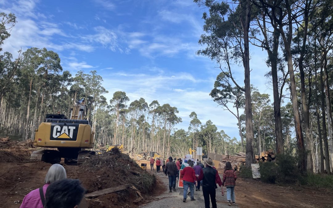 VicForests now in OUR forest!